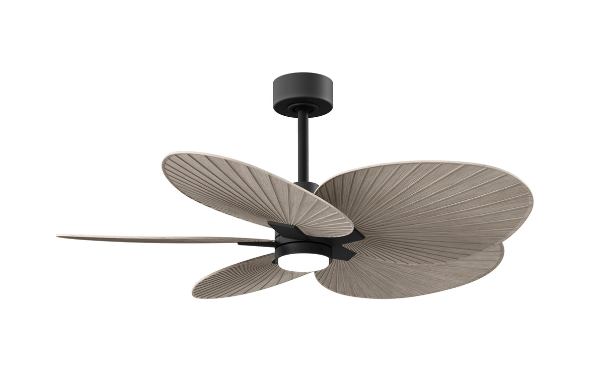 Alessandra Tropical - LK - Ceiling Fan