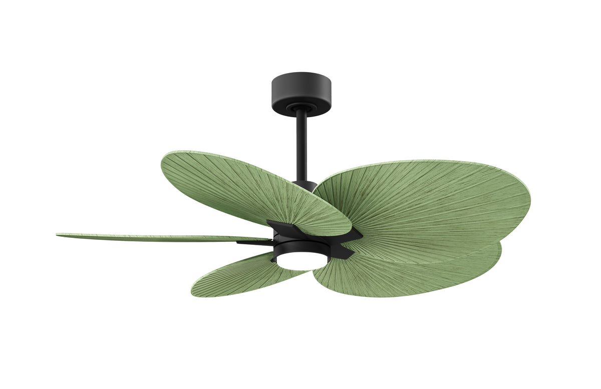 Alessandra Tropical - LK - Ceiling Fan