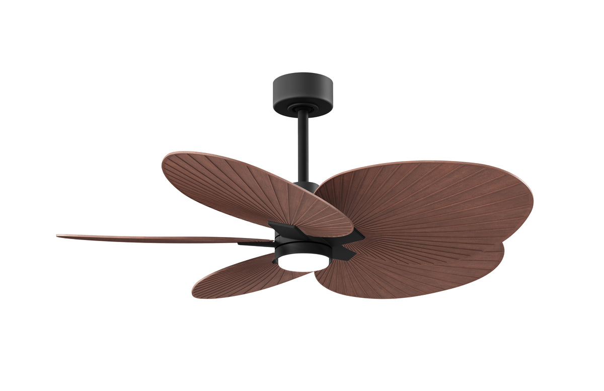 Alessandra Tropical - LK - Ceiling Fan