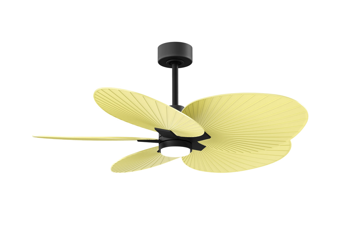 Alessandra Tropical - LK - Ceiling Fan