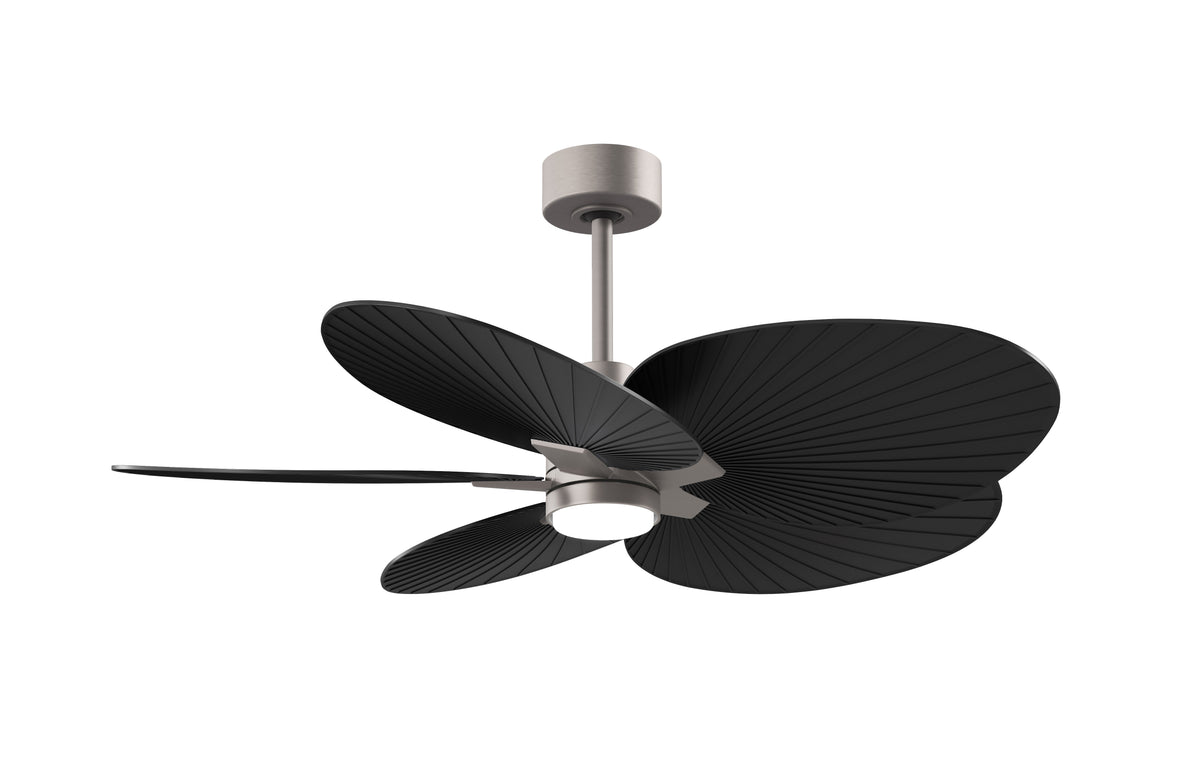 Alessandra Tropical - LK - Ceiling Fan