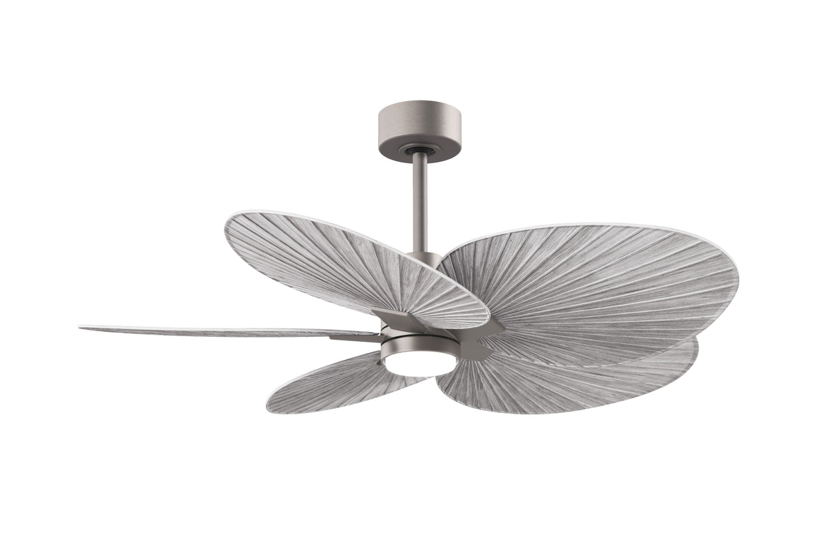Alessandra Tropical - LK - Ceiling Fan
