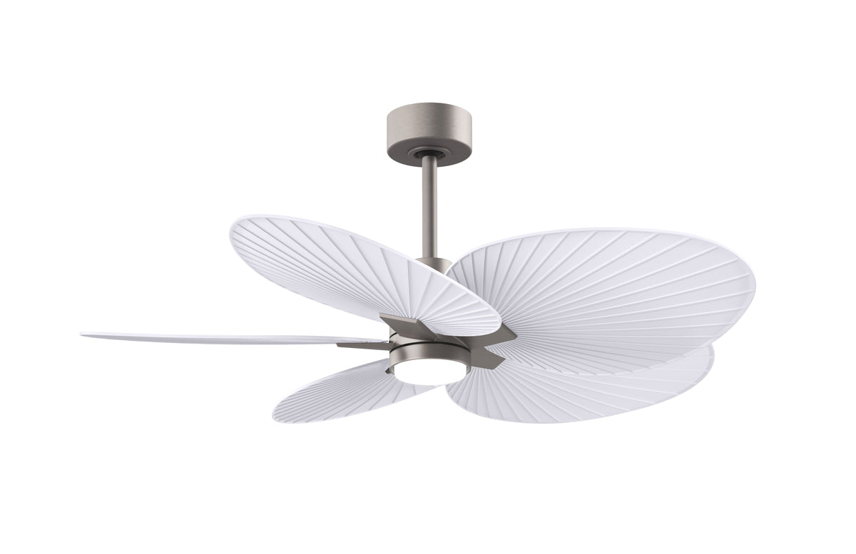 Alessandra Tropical - LK - Ceiling Fan