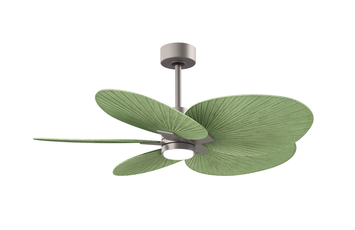 Alessandra Tropical - LK - Ceiling Fan