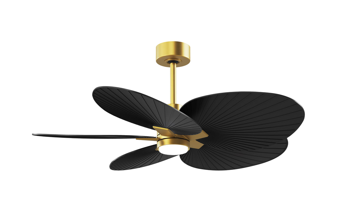 Alessandra Tropical - LK - Ceiling Fan