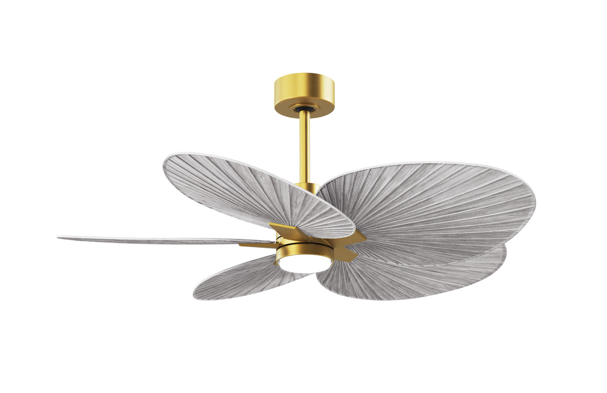 Alessandra Tropical - LK - Ceiling Fan