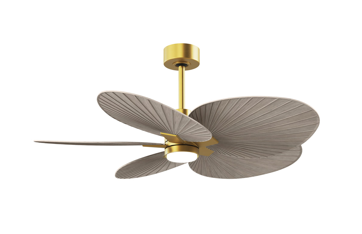 Alessandra Tropical - LK - Ceiling Fan