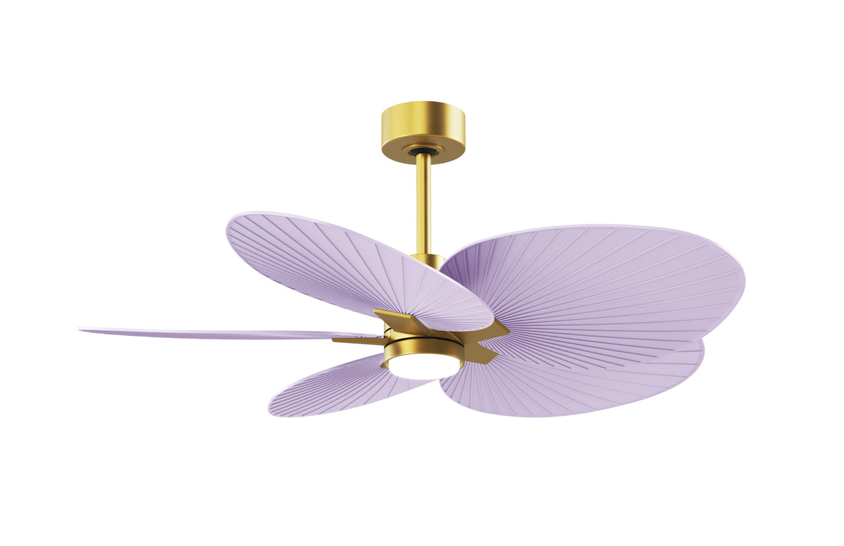 Alessandra Tropical - LK - Ceiling Fan