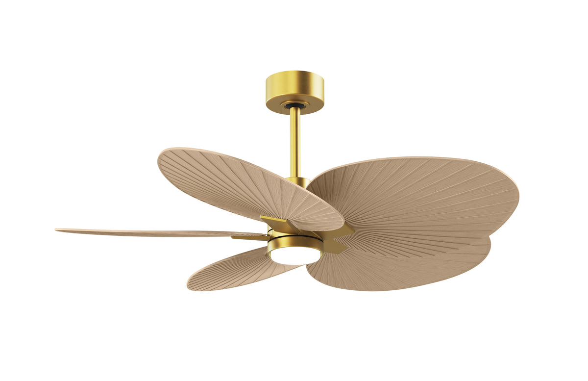 Alessandra Tropical - LK - Ceiling Fan