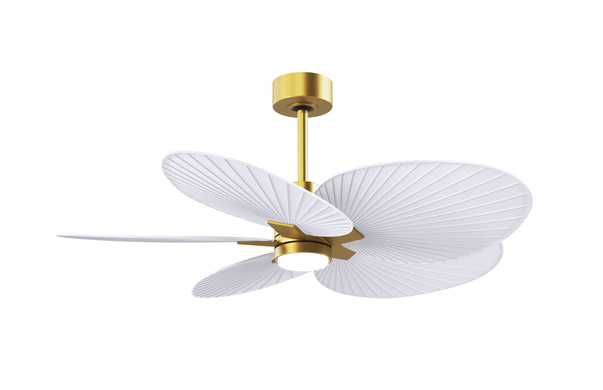 Alessandra Tropical - LK - Ceiling Fan