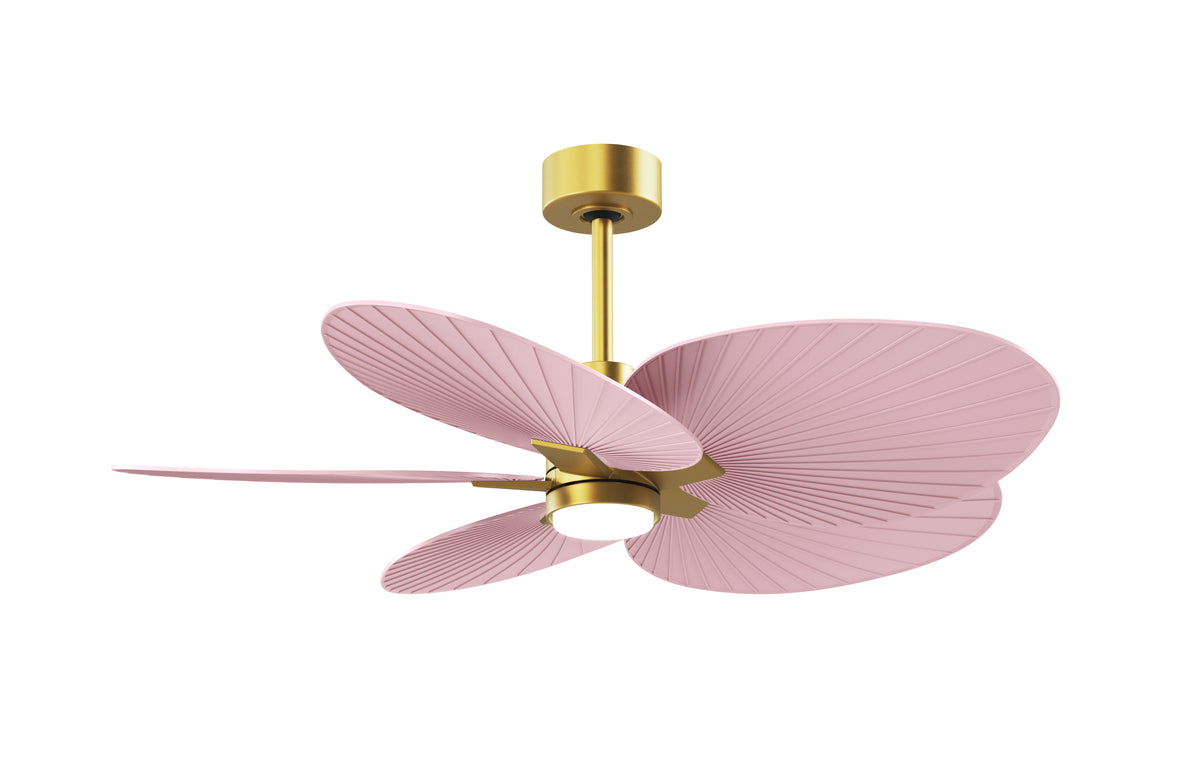 Alessandra Tropical - LK - Ceiling Fan