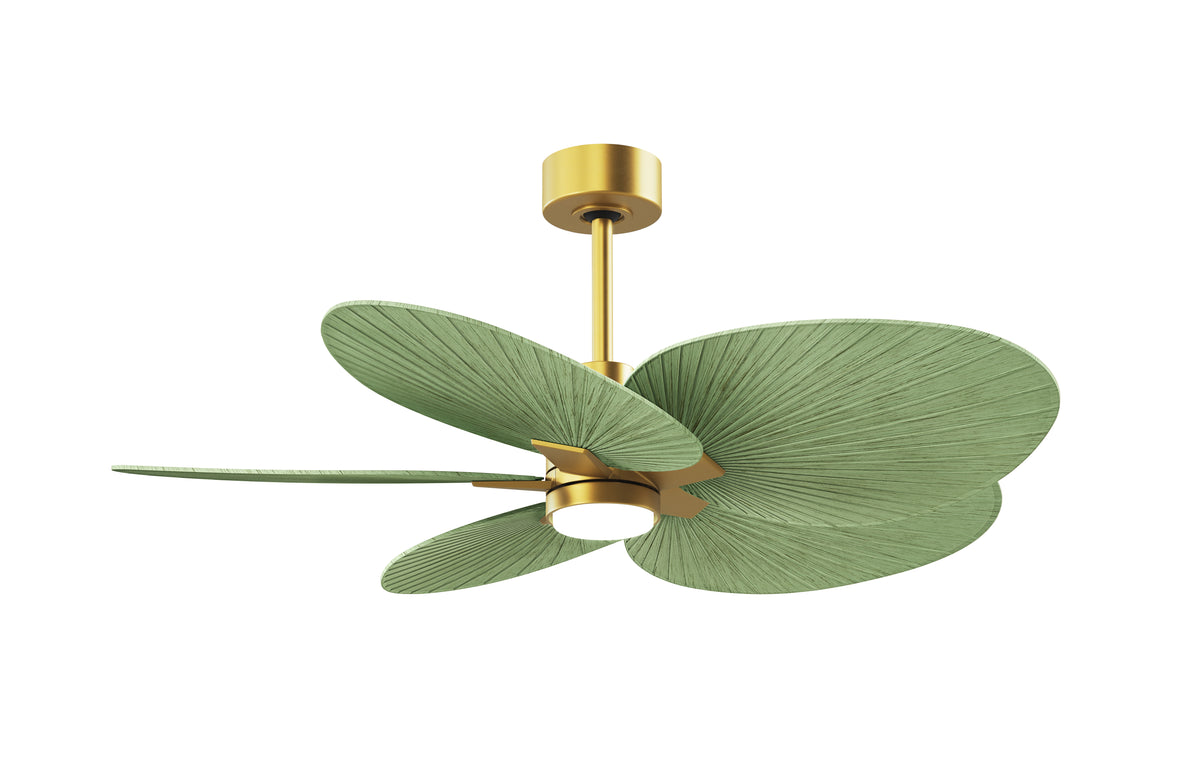 Alessandra Tropical - LK - Ceiling Fan