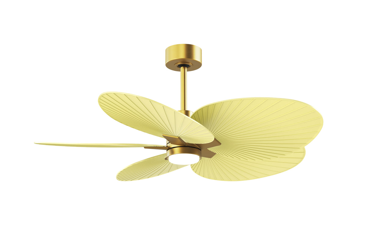 Alessandra Tropical - LK - Ceiling Fan