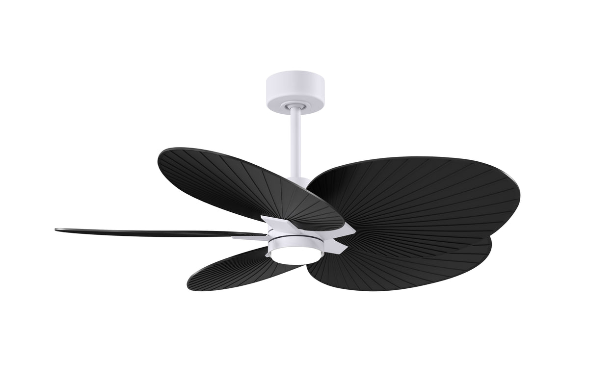 Alessandra Tropical - LK - Ceiling Fan
