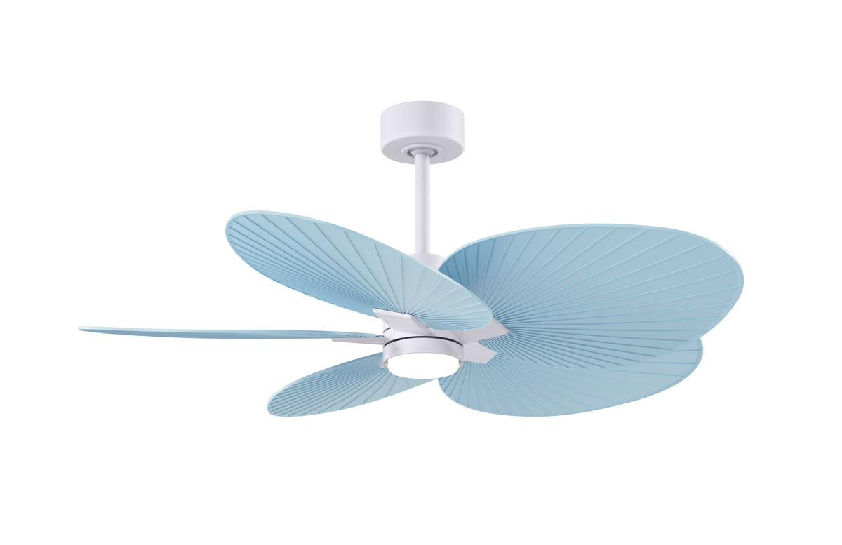 Alessandra Tropical - LK - Ceiling Fan