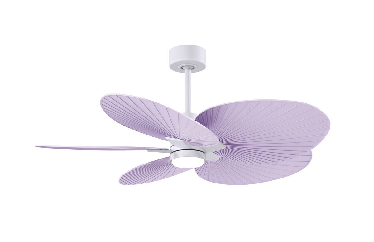 Alessandra Tropical - LK - Ceiling Fan