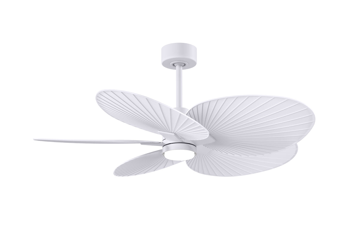 Alessandra Tropical - LK - Ceiling Fan