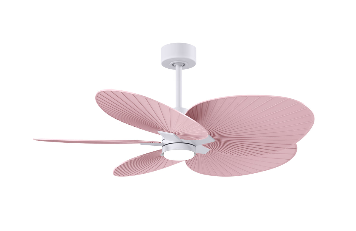 Alessandra Tropical - LK - Ceiling Fan