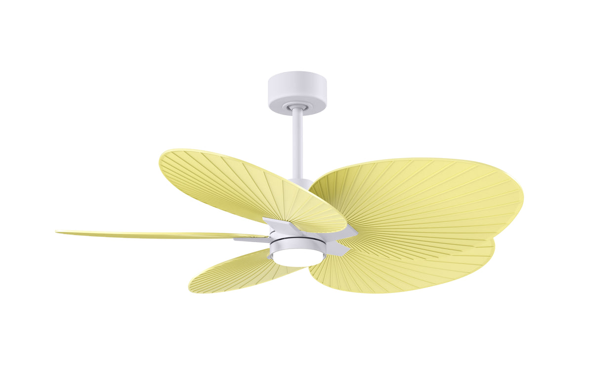 Alessandra Tropical - LK - Ceiling Fan