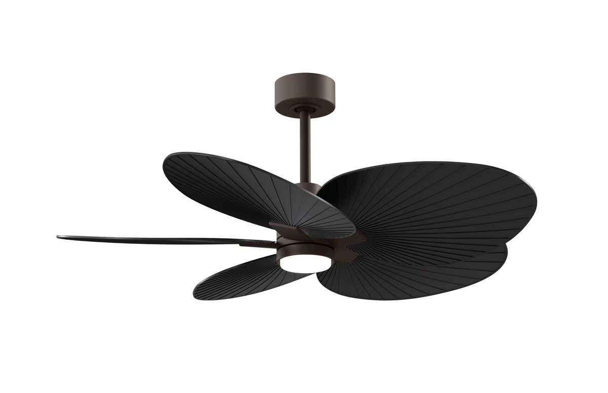 Alessandra Tropical - LK - Ceiling Fan