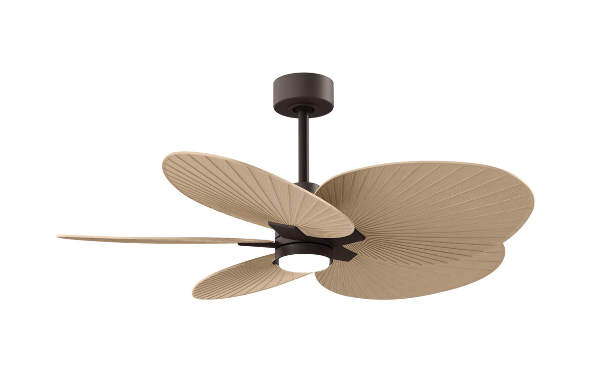 Alessandra Tropical - LK - Ceiling Fan