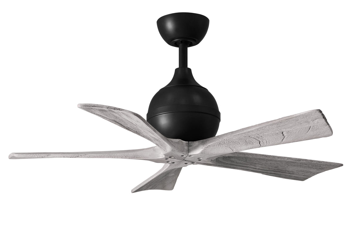 Irene-5 - Ceiling Fan