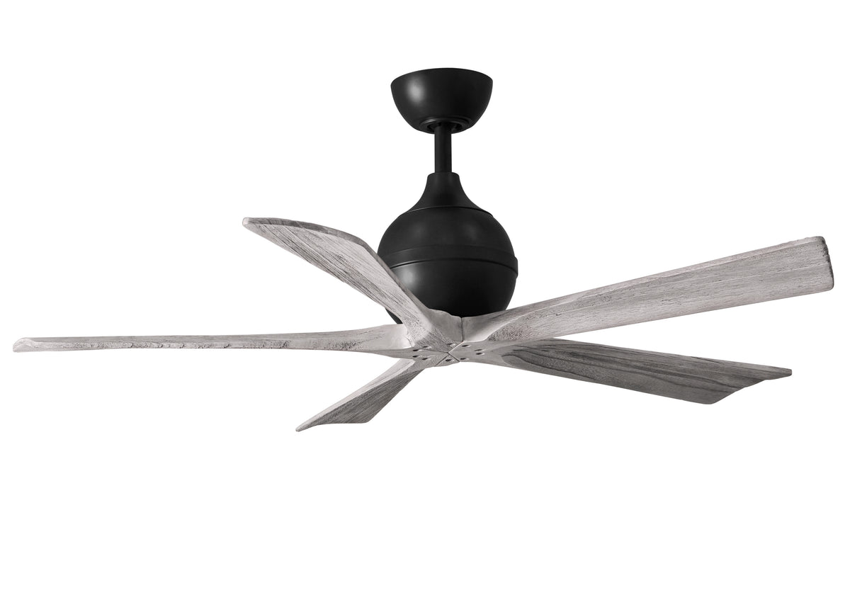 Irene-5 - Ceiling Fan