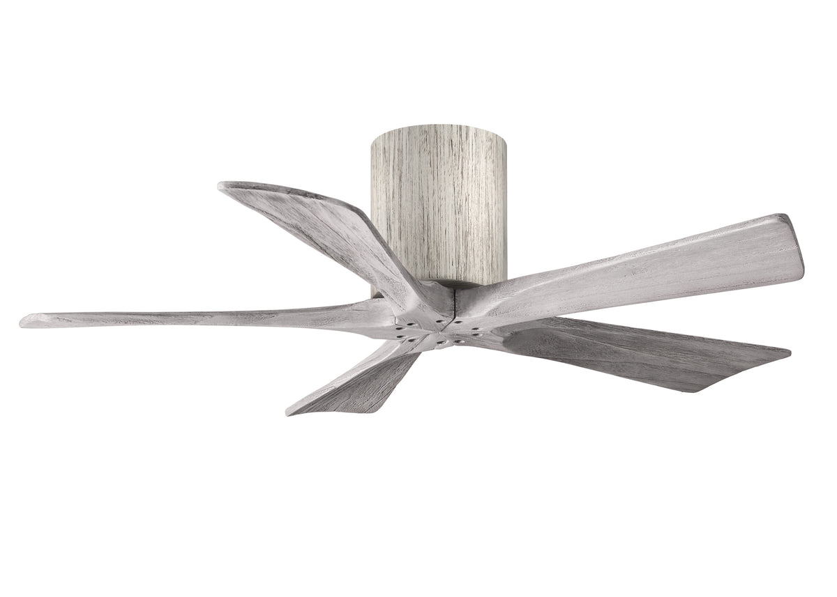 Irene-5H - Ceiling Fan