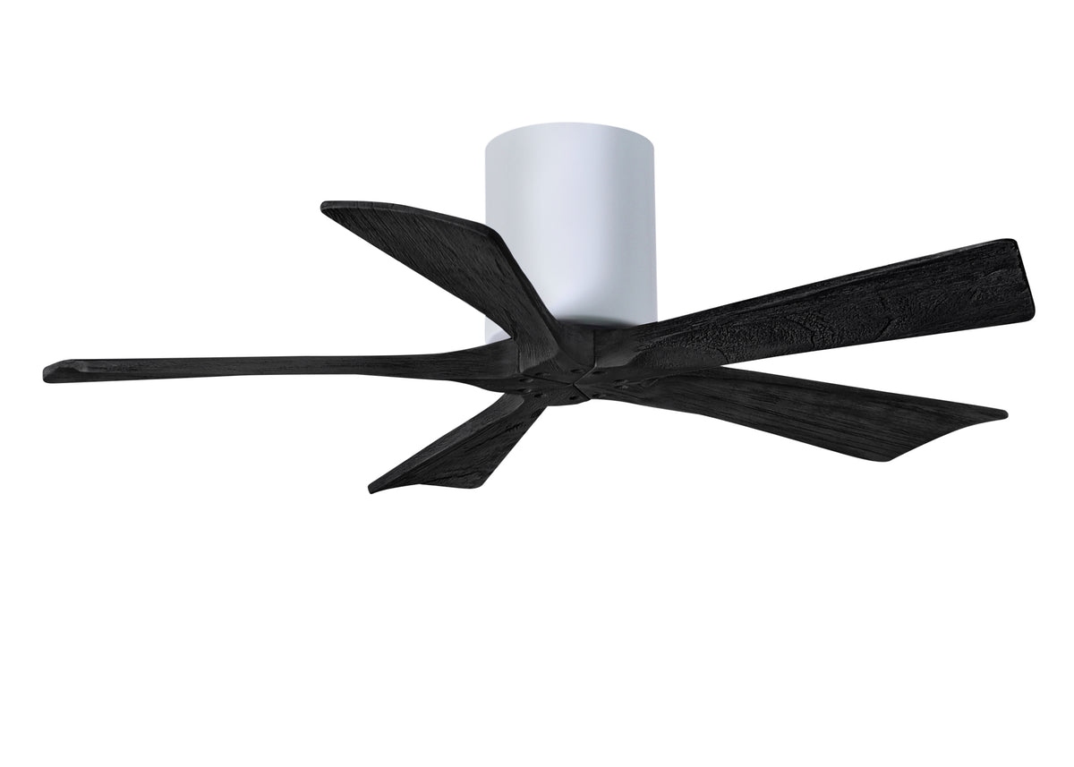 Irene-5H - Ceiling Fan