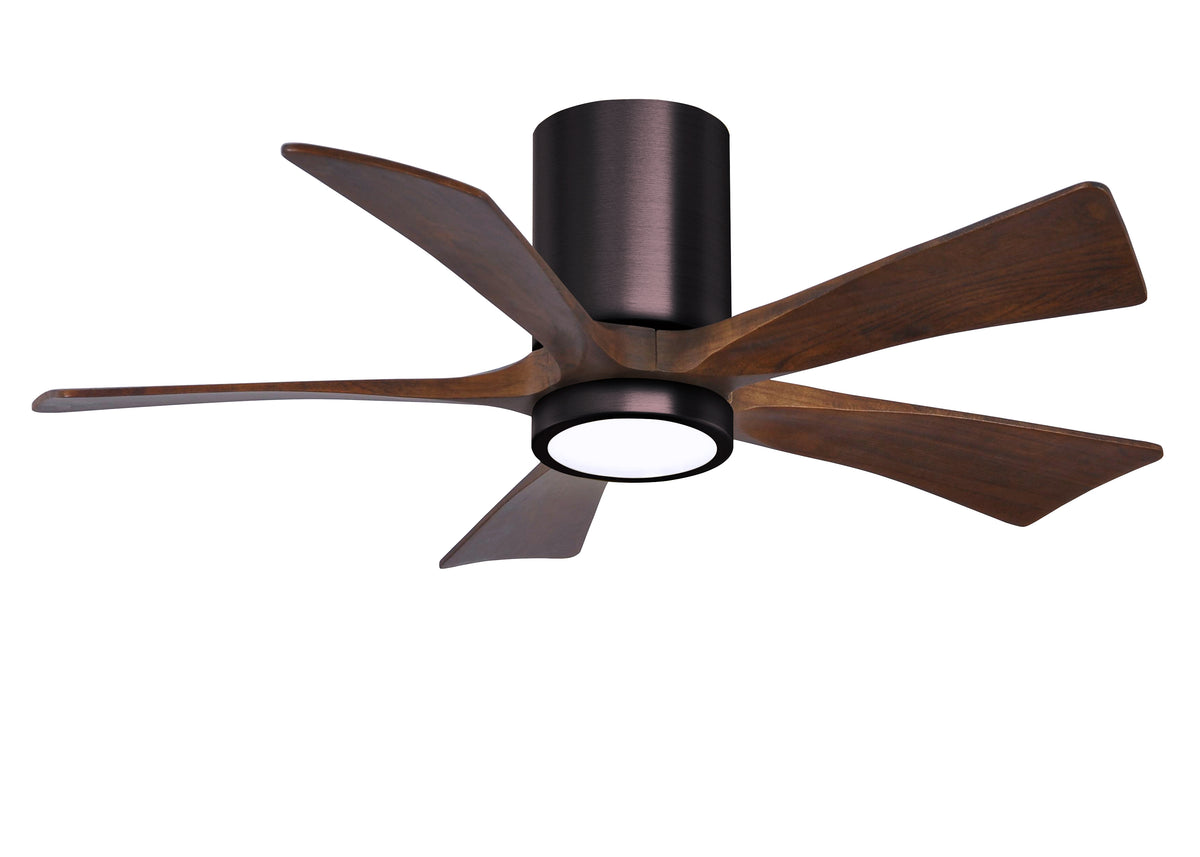 Irene-5HLK - Ceiling Fan