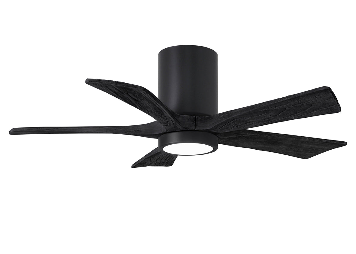 Irene-5HLK - Ceiling Fan