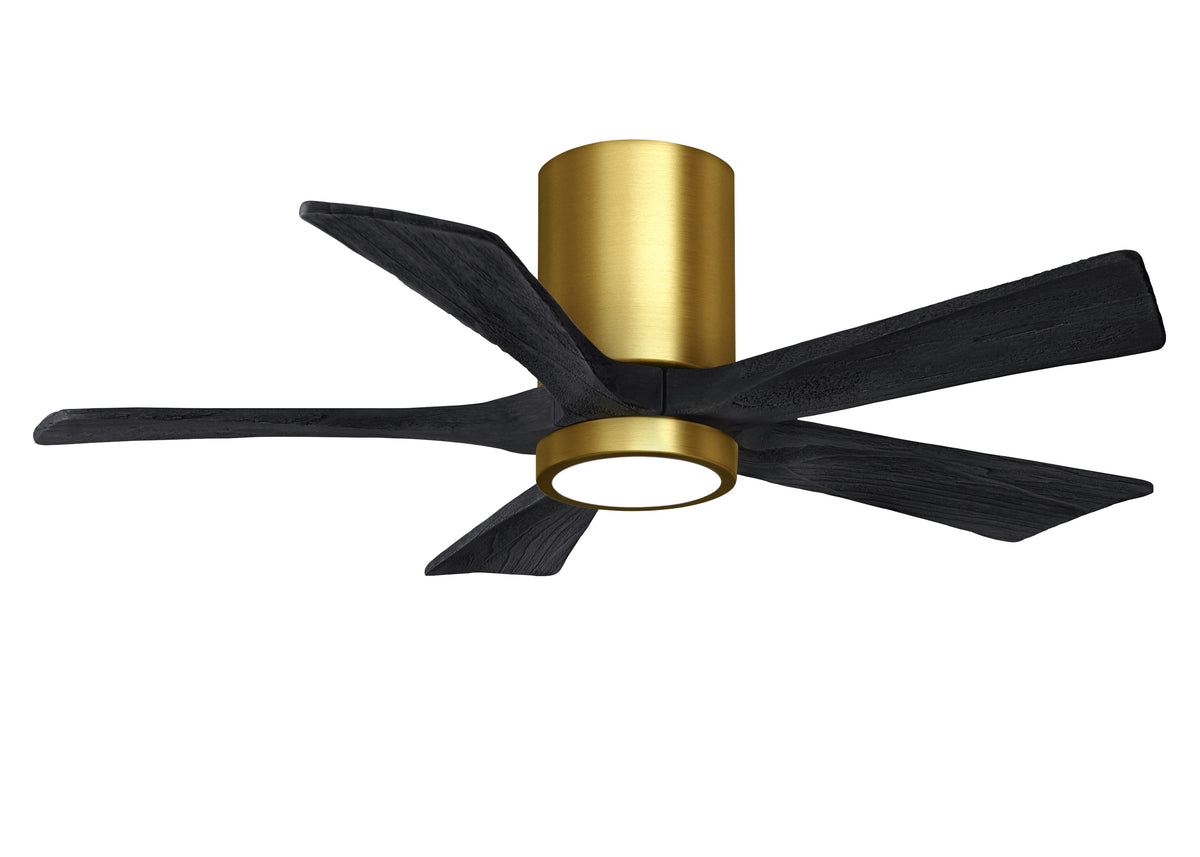 Irene-5HLK - Ceiling Fan