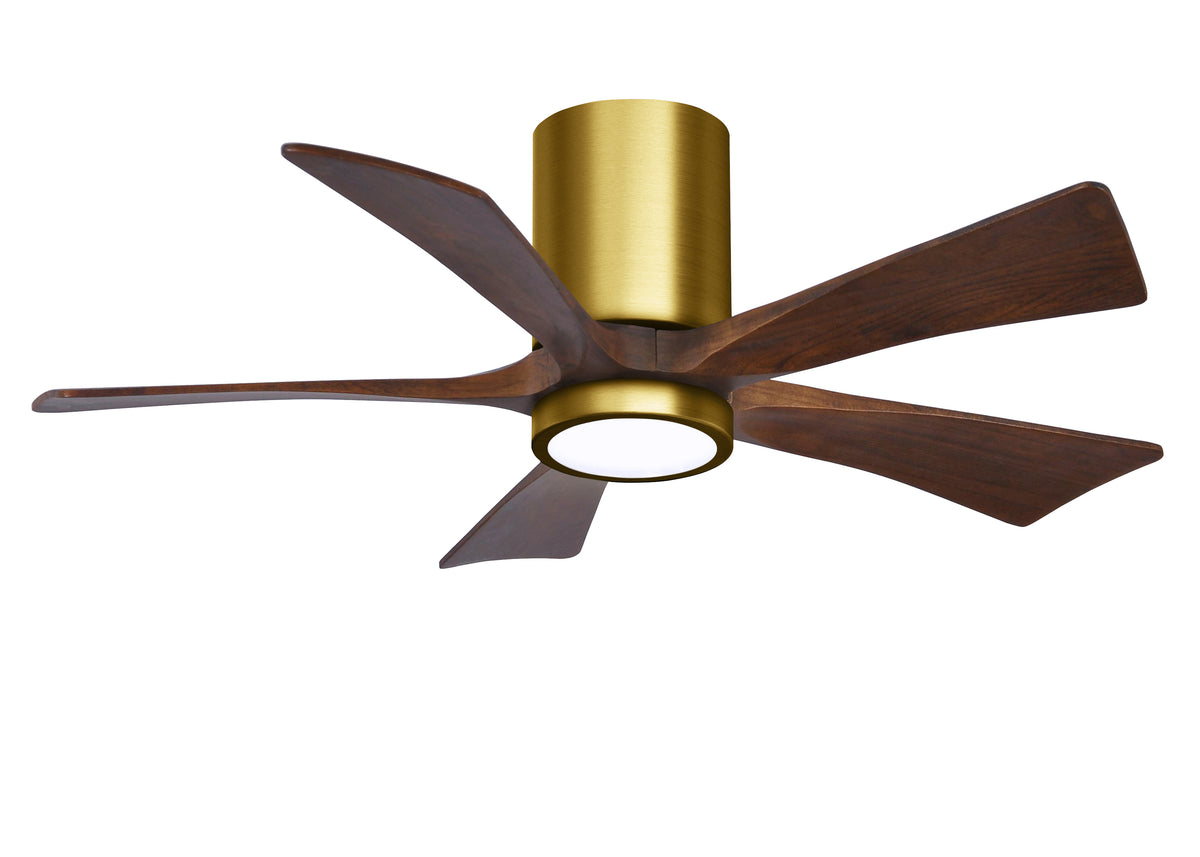 Irene-5HLK - Ceiling Fan