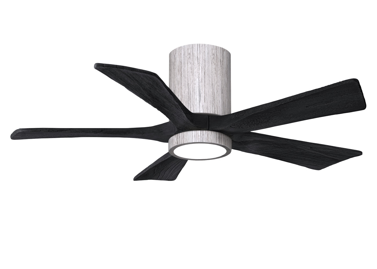 Irene-5HLK - Ceiling Fan