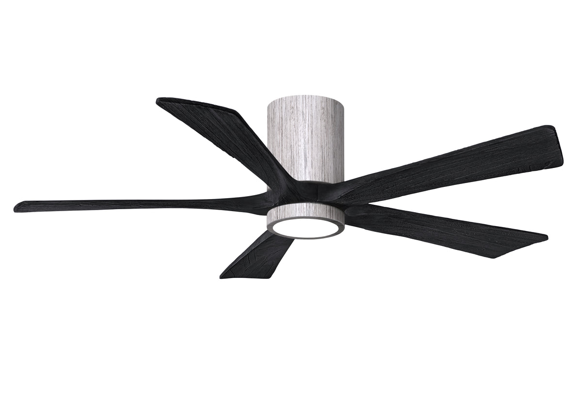 Irene-5HLK - Ceiling Fan