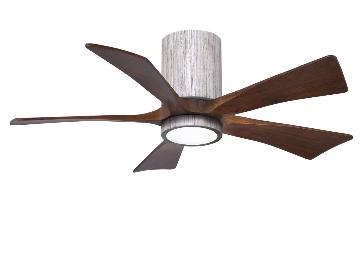 Irene-5HLK - Ceiling Fan