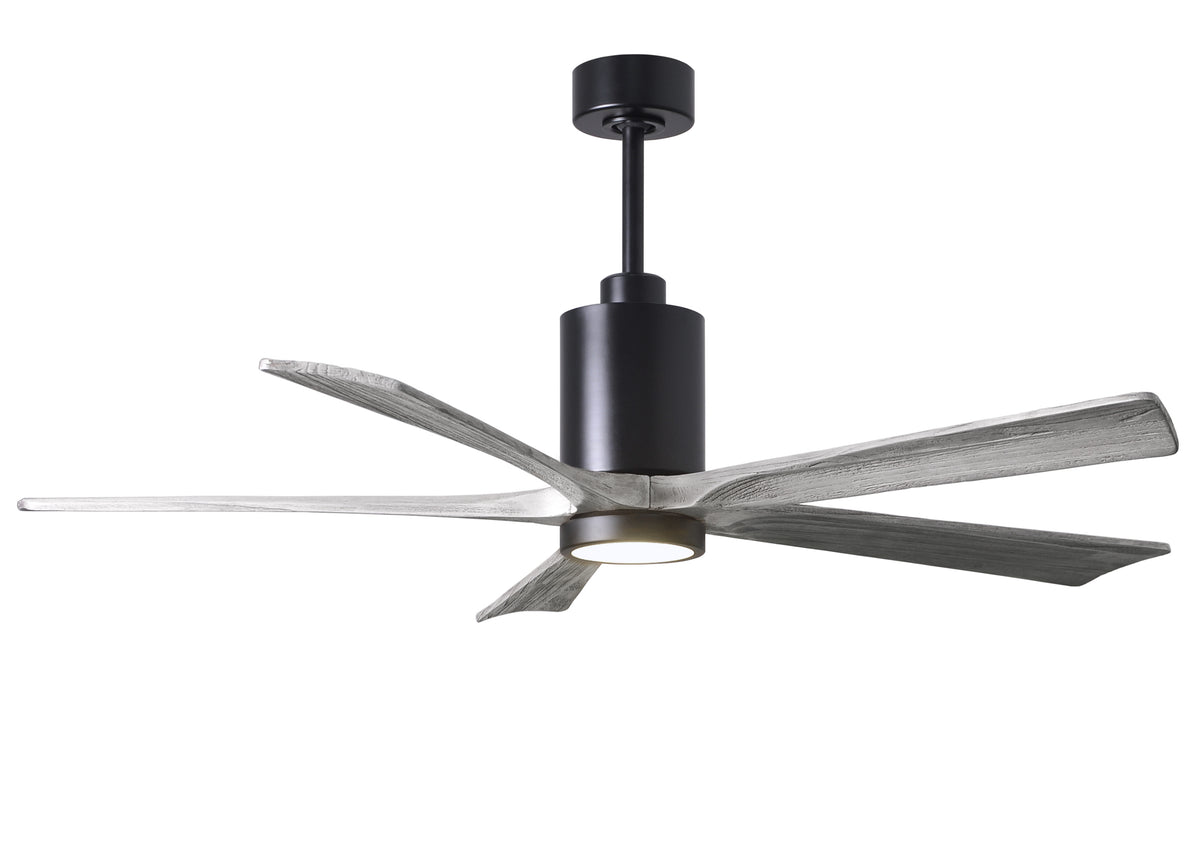Patricia-5 - Ceiling Fan