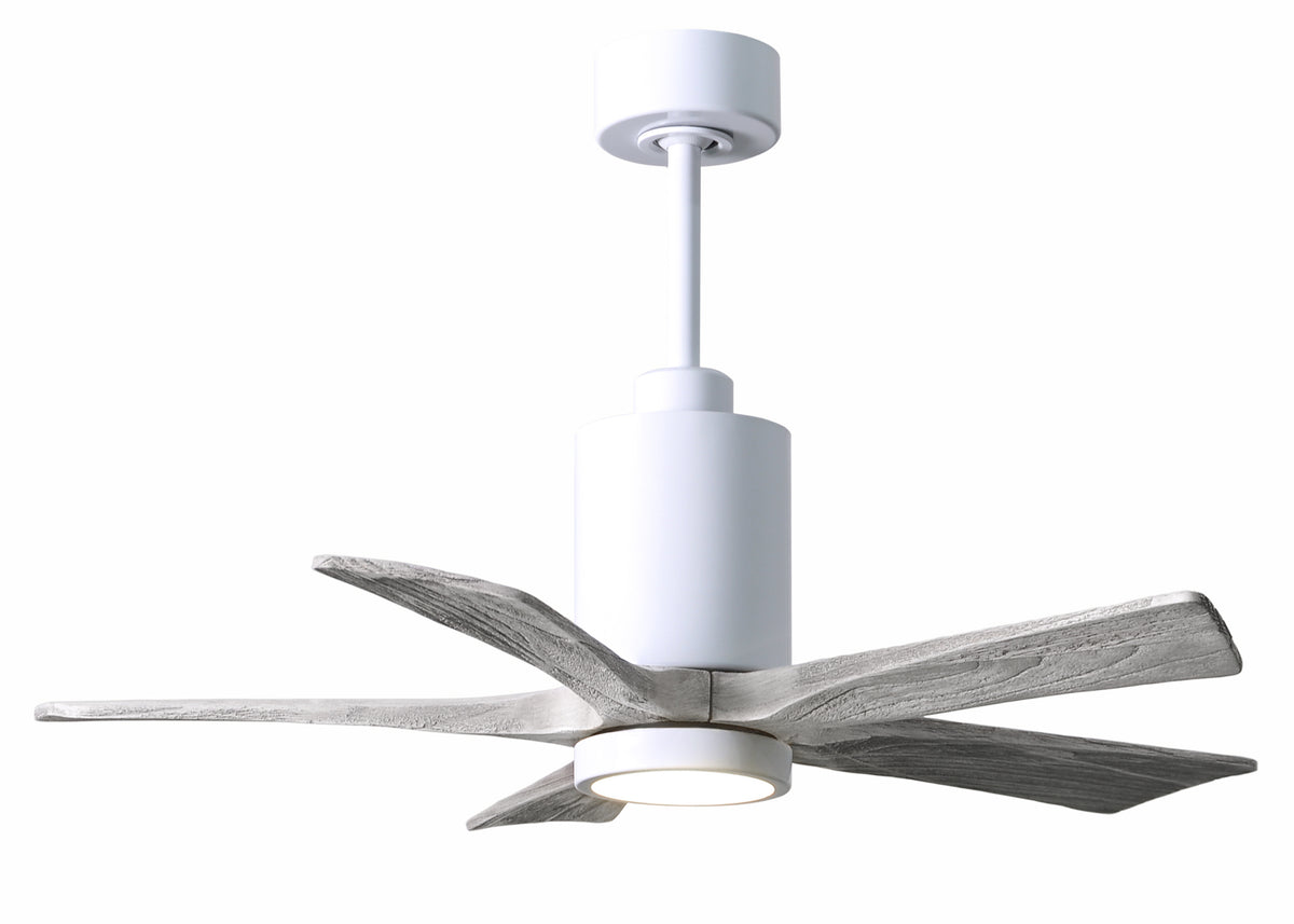 Patricia-5 - Ceiling Fan